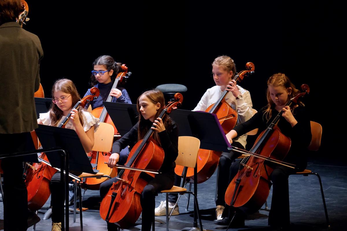 Instruments à cordes - Musique - Conservatoire du Nord