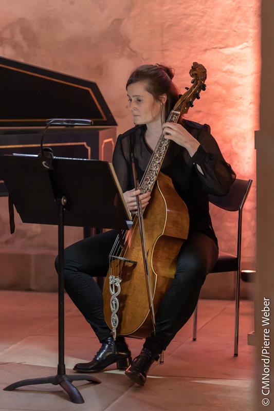 Viole de gambe dessus et viole de gambe basse