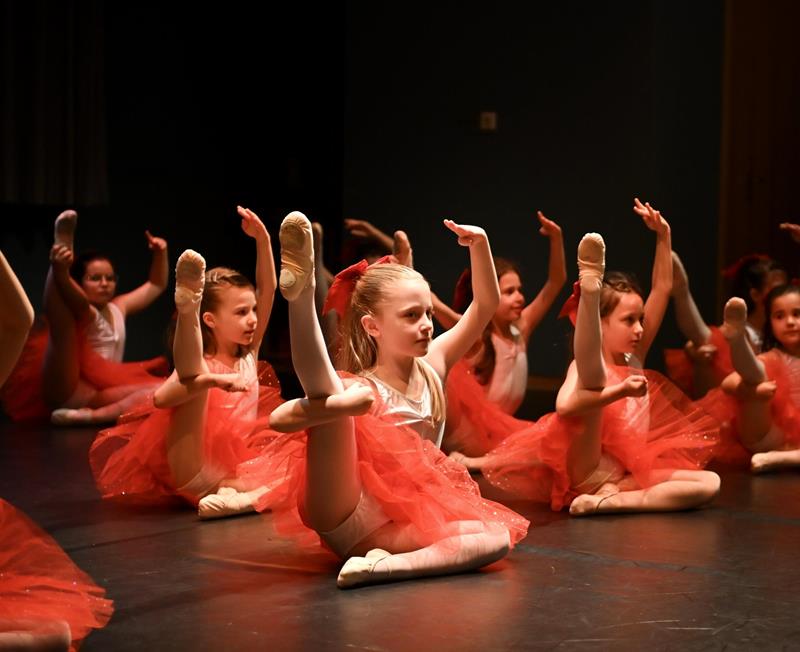 Danse classique - Danse