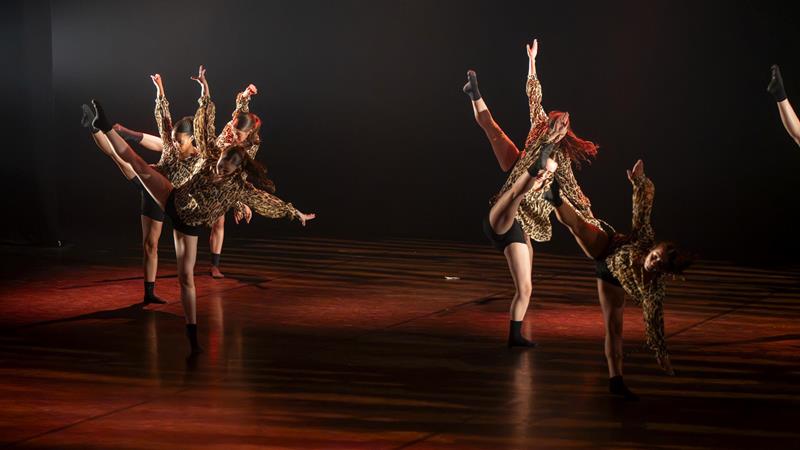 Dance show - Events