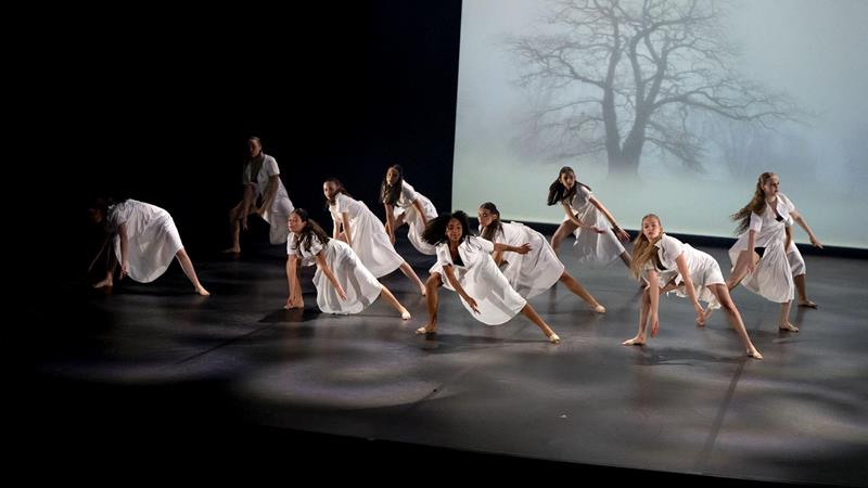 Dance show - Events