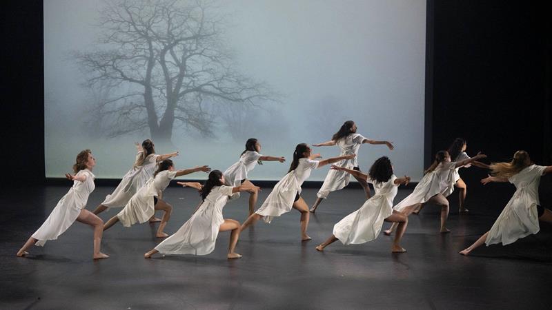Dance show - Events