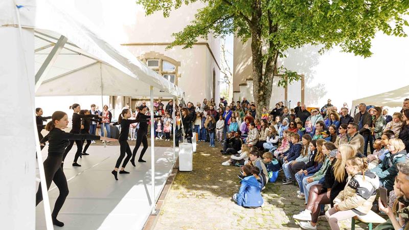 TAGE DER OFFENEN TÜR - Diekirch