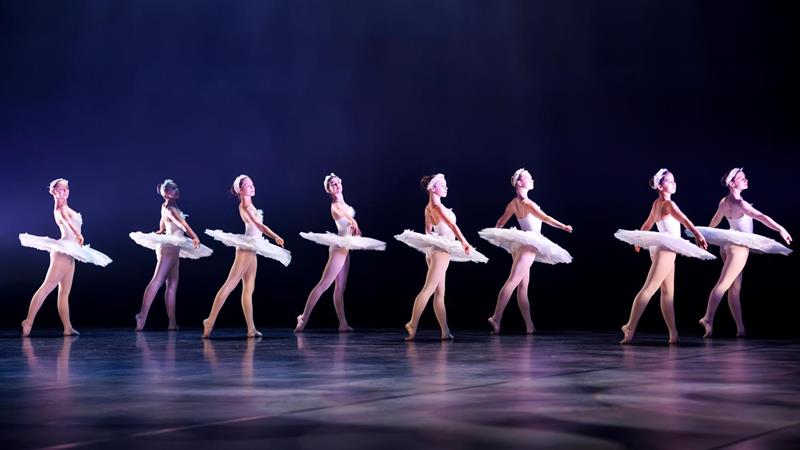 SPOT ON DANCE : Spectacles de danse