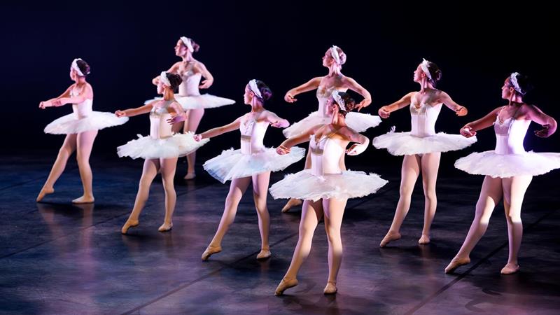 SPOT ON DANCE : Spectacles de danse