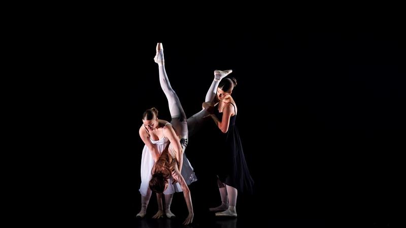 SPOT ON DANCE : Spectacles de danse